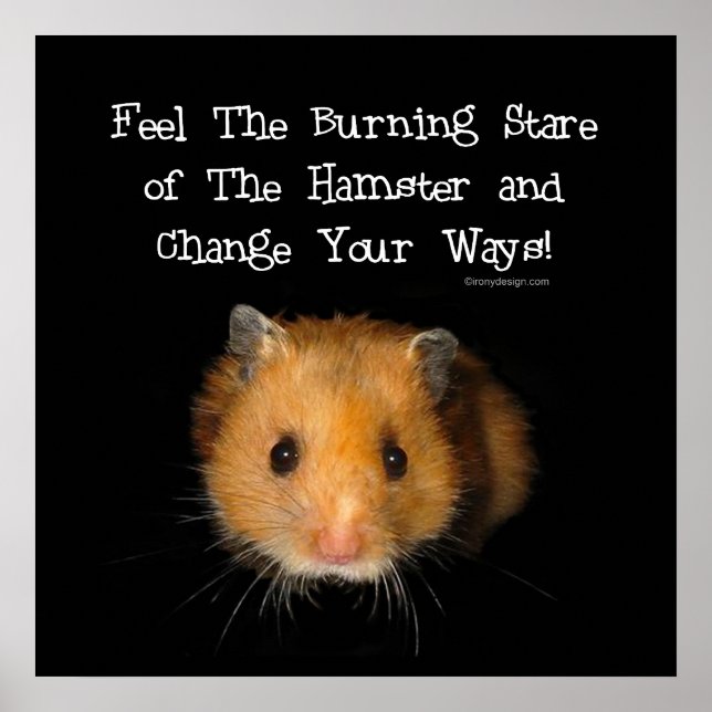 Das Hamsterplakat Poster (Vorne)