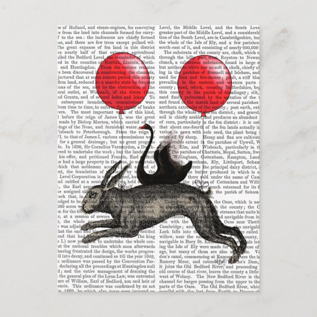 Das Hareschiff Postkarte (Vorderseite)