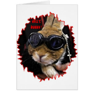 DAS HÄSCHEN DER RADFAHRER-HÄSCHEN-HÖLLE