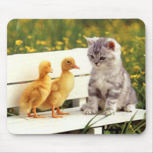 Das hässliche Entlein Mousepad