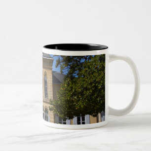 Das Hauptgebäude des Schlosses, renoviert von Zweifarbige Tasse