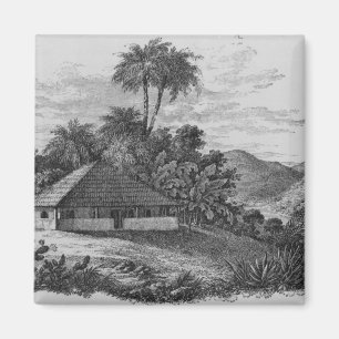 Das Haus eines Pflanzers in Brasilien Magnet