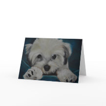 Das Havanese