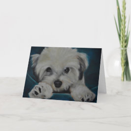 Das Havanese Karte