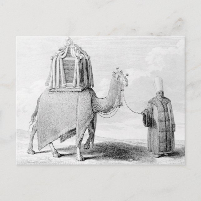 Das heilige Kamel Postkarte (Vorderseite)