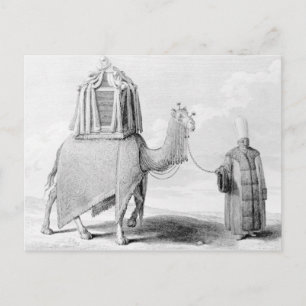 Das heilige Kamel Postkarte