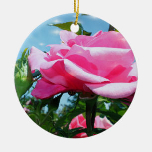 Das herrliche Rosa erhob sich am blauen Himmel. Va Keramikornament