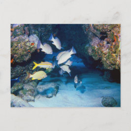 DAS HOTEL IN DER WALL POSTCARD POSTKARTE