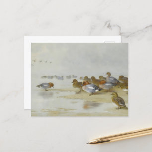 Das Hotel ist sehr gepflegt und Aquamarin am Ufer, Postkarte