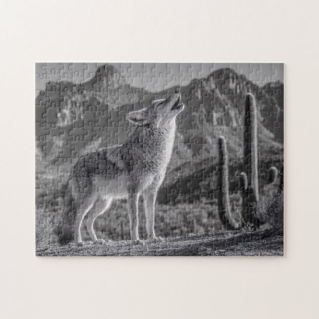 Das Howling von Coyote in der Wüstenlandschaft (Horizontal)