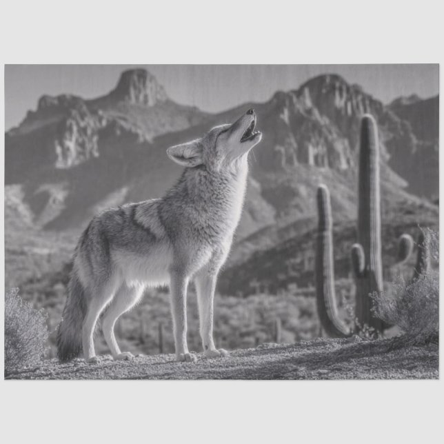 Das Howling von Coyote in der Wüstenlandschaft Seidenpapier (Vorderseite)