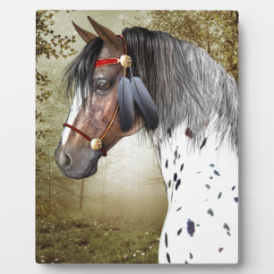 Das indische Pony Fotoplatte
