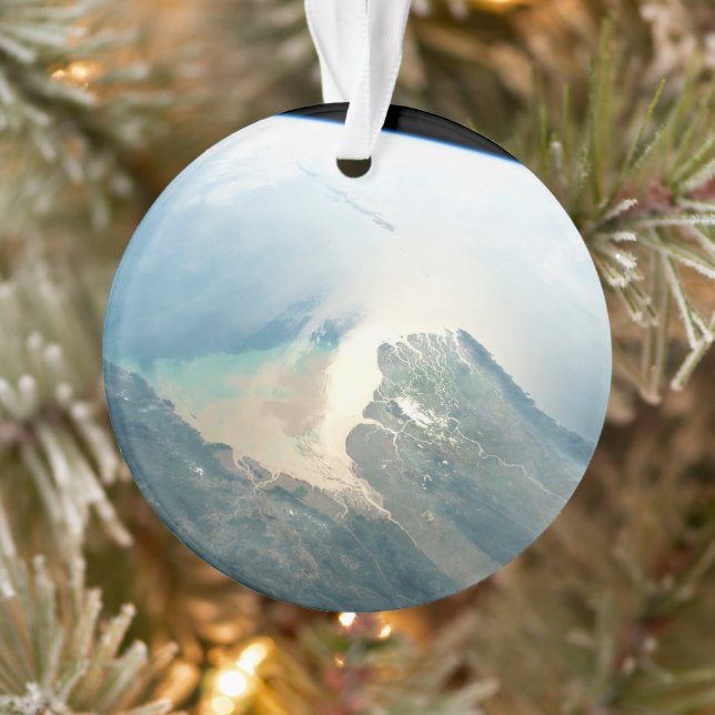 Das Irrawaddy River Delta in Birma (Myanmar). Ornament (Baum)