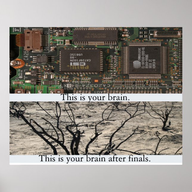 Das ist dein Gehirn. Poster (Vorne)