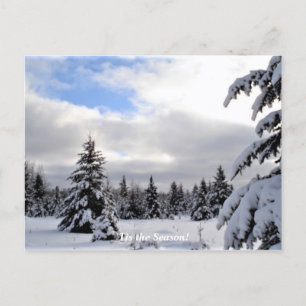 'Das ist die Jahreszeit nach Norden, Winterurlaub Postkarte