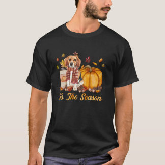 Das ist die Saison Pumpkin Beagle Dog Fall Saison T-Shirt