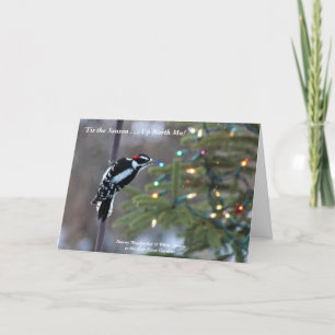 'Das ist die Saison Up North Mn!  Frohe Weihnachte Dankeskarte