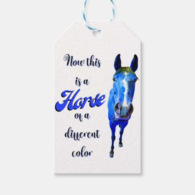 Das ist ein Pferd mit einer anderen Farbe in Blau Geschenkanhänger (Vorderseite)