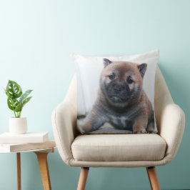 Das ist ein wertvoller Akita-Welpe, ein Kissen