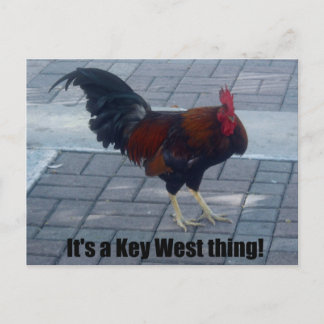 Das ist eine Key West Sache! Postkarte