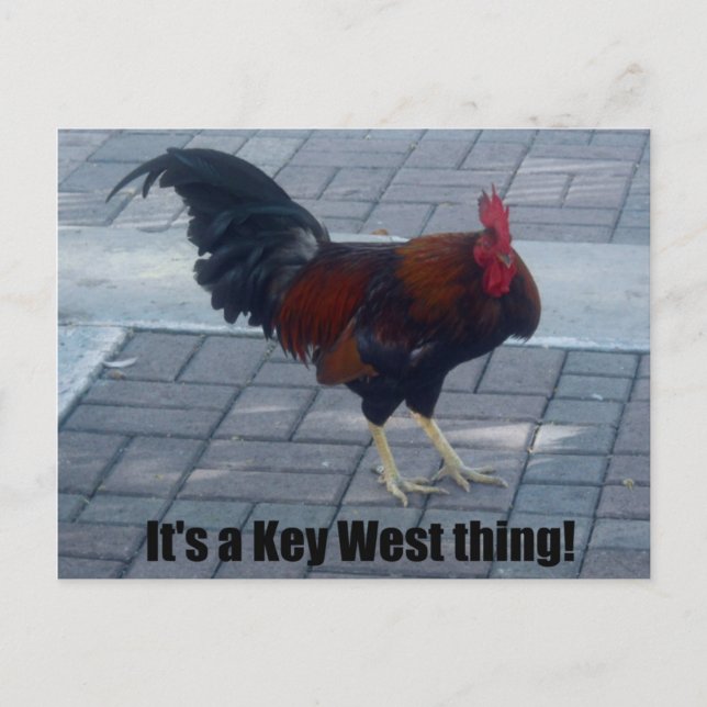 Das ist eine Key West Sache! Postkarte (Vorderseite)