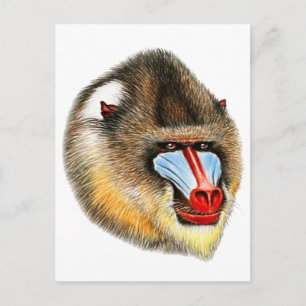 DAS IST MANDRILL POSTKARTE