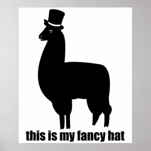 Das ist mein Extravagantes Hat Llama Poster
