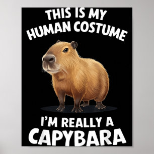 Das ist mein menschliches Kostüm, ich bin wirklich Poster