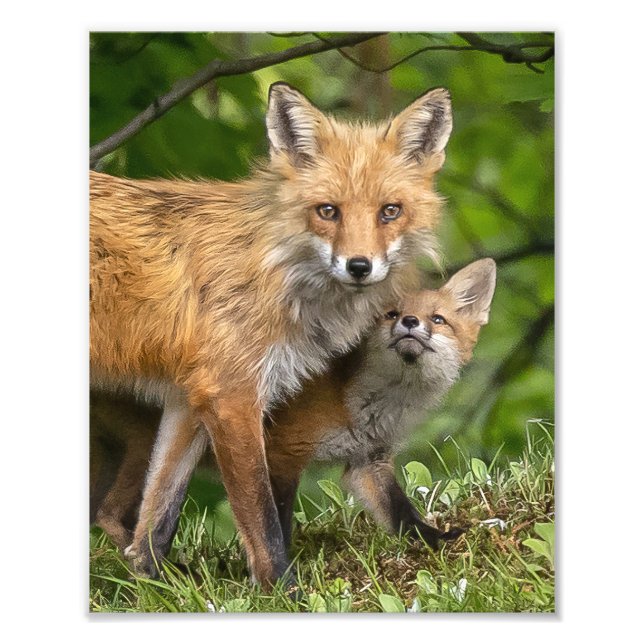 Das ist mein Vater Fotodruck (Vorne)