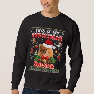 Das ist mein Weihnachts-Sweater-Spitz, der mich hä Sweatshirt