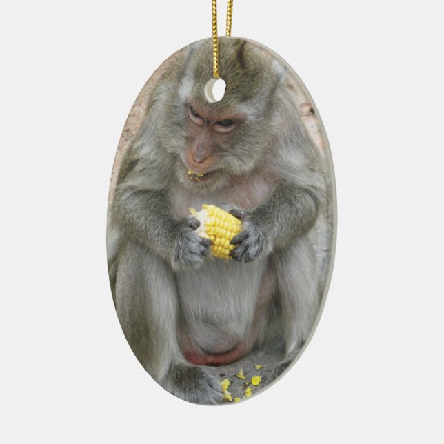 Das ist meins! ... Wild Thai Macaque Monkey Keramik Ornament (Links)