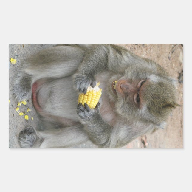 Das ist meins! ... Wild Thai Macaque Monkey Rechteckiger Aufkleber (Vorderseite)