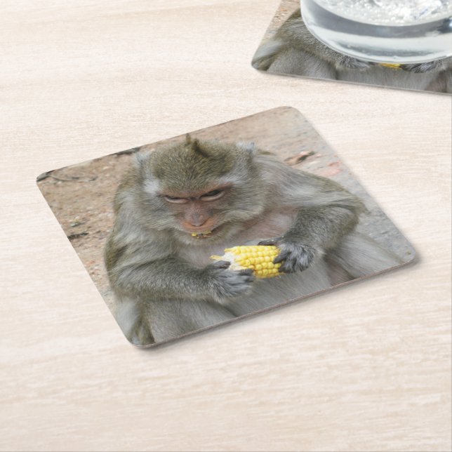 Das ist meins! ... Wild Thai Macaque Monkey Rechteckiger Pappuntersetzer (angewinkelt)