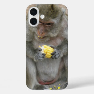 Das ist meins! ... Wild Thai Macaque Monkey title_seo2