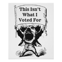 Das ist nicht das, wofür ich gestimmt habe poster