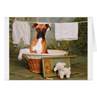 Das ist nicht lustig