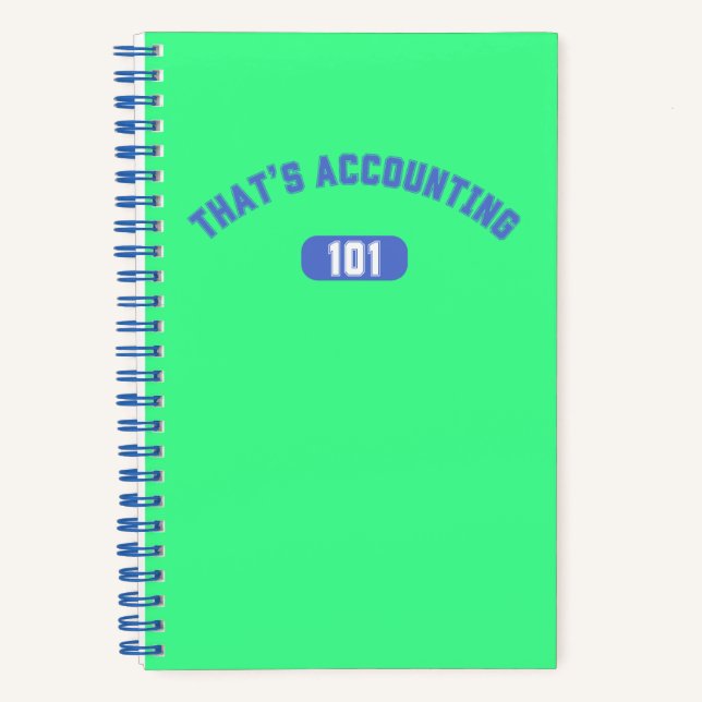 Das ist Rechnungslegung 101 Notizbuch (Vorderseite)