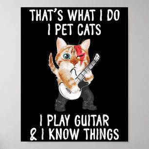 Das ist was ich tue Ich streichle Katzen Ich spiel Poster