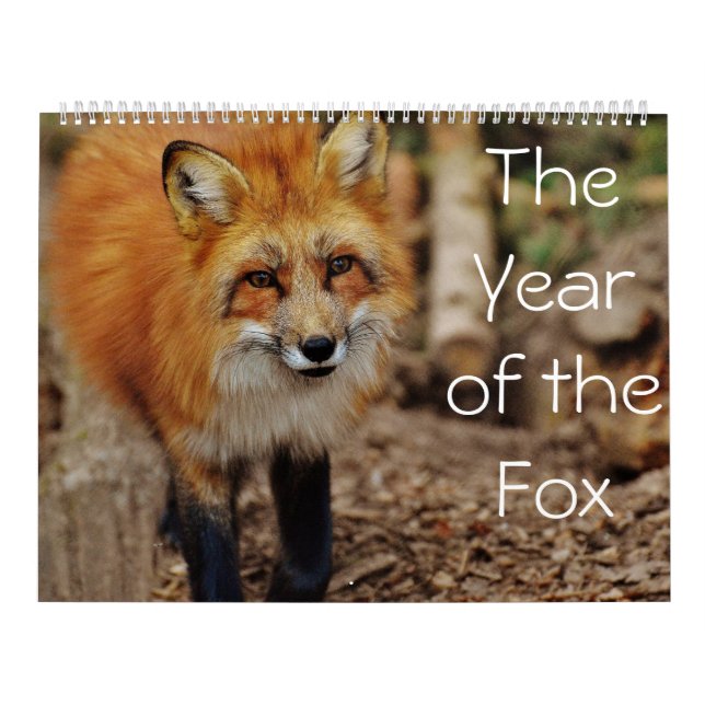 Das Jahr des Fox-Kalenders Kalender (Titelbild)