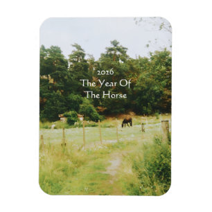 Das Jahr des Pferdes, 2026,  Magnet
