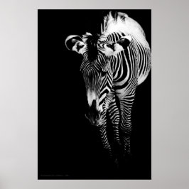 Das Kaiserliche druckt Poster
