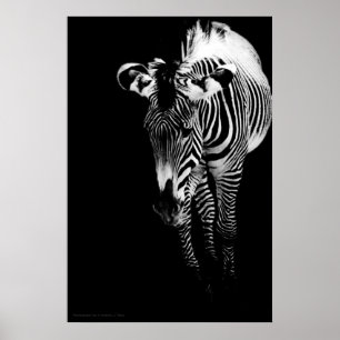 Das Kaiserliche druckt Poster