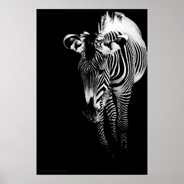 Das Kaiserliche druckt Poster (Vorne)