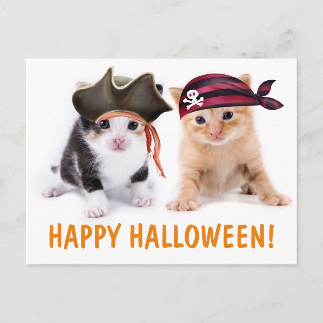 Das kalte Schwesterpferd Halloween Postkarte (Vorderseite)