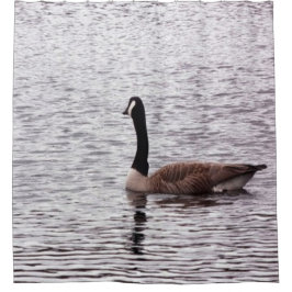 Das Kanada Gänse auf dem Duschvorhang des Sees