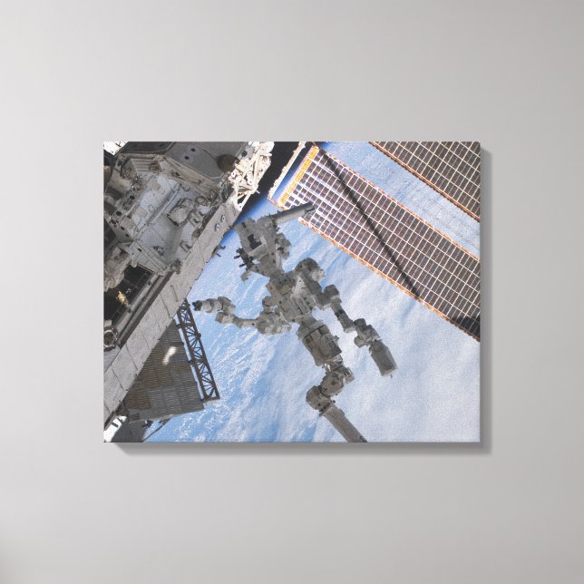 Das kanadische Dextre-Robotersystem 2 Leinwanddruck (Vorderseite)