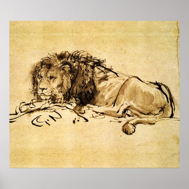 DAS KAP LION LYING DOWN, von Rembrandt Sepia, Blac Poster (Vorne)
