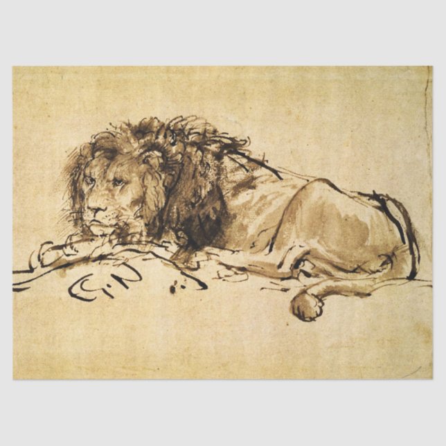 DAS KAP LION LYING DOWN, von Rembrandt Sepia, Blac Seidenpapier (Vorderseite)