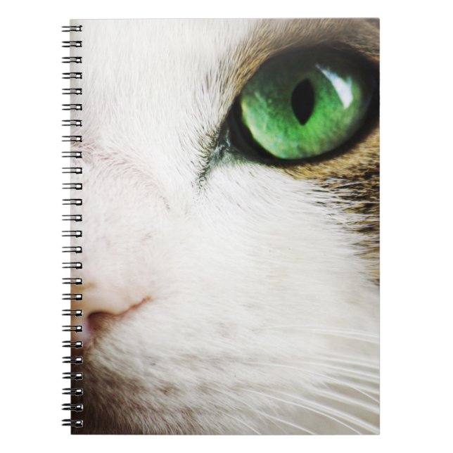 Das Katzenauge Notizblock (Vorderseite)