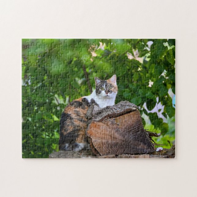 Das Katzenpuzzle (Horizontal)